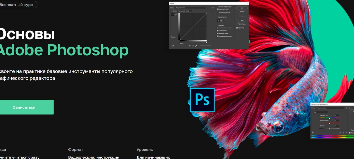 Курс «Основы Adobe Photoshop»